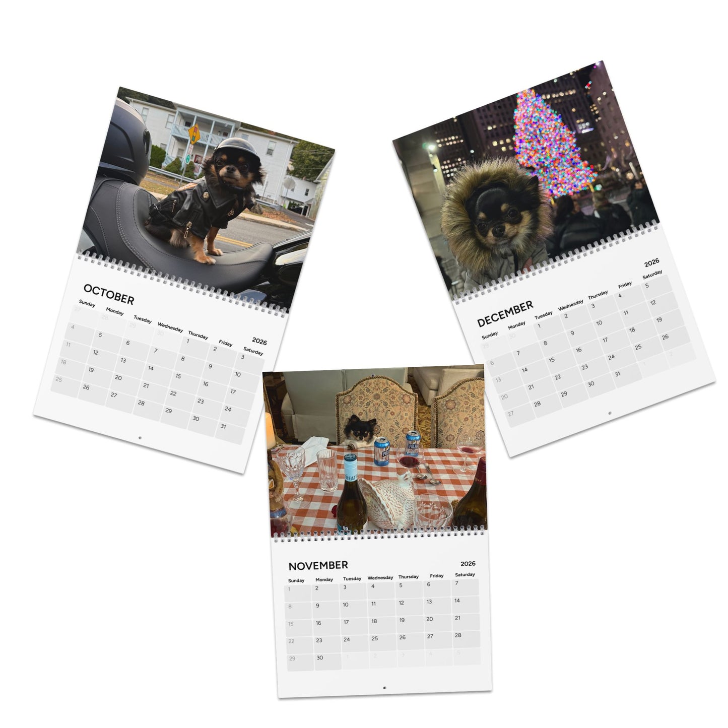 Fabulous Fabio Calendar (2026)