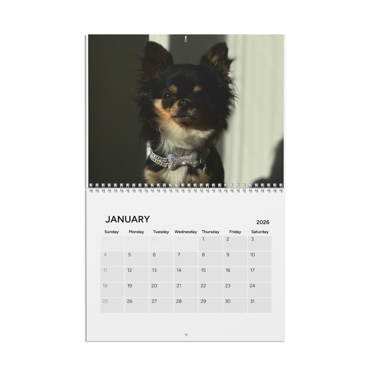 Fabulous Fabio Calendar (2026)